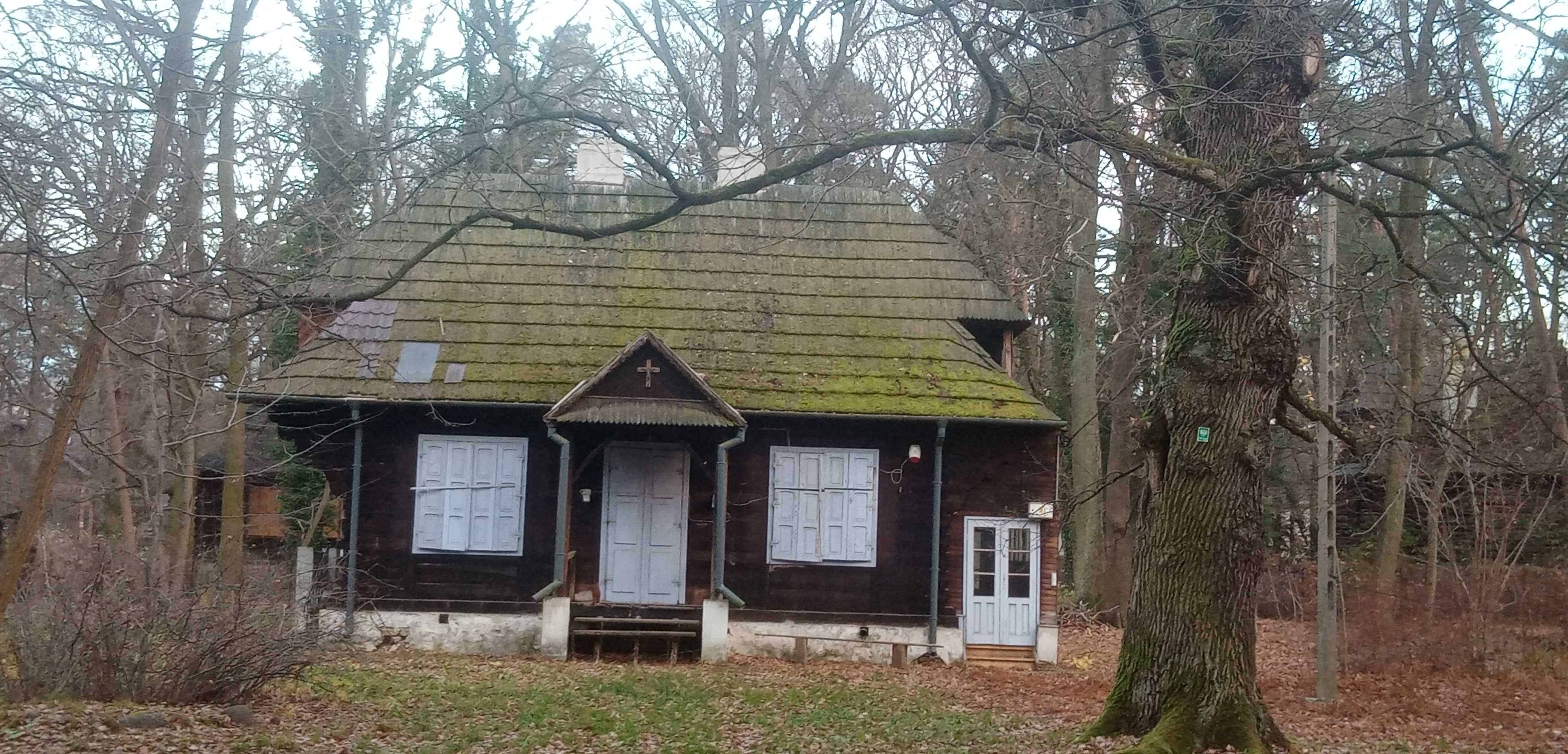 Na spacer z Zośką, Alkiem i Rudym