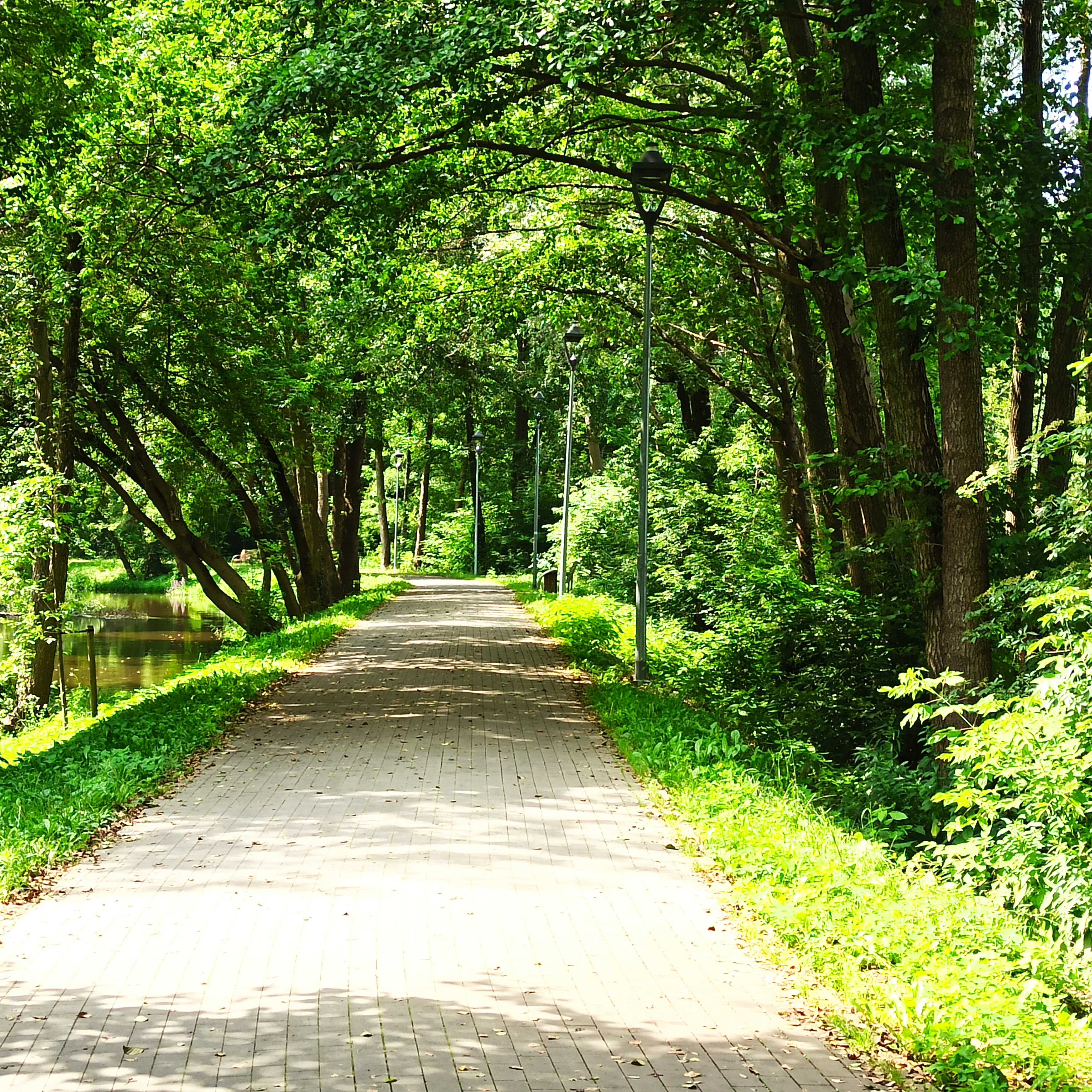 Park Zdrojowy w Konstancinie